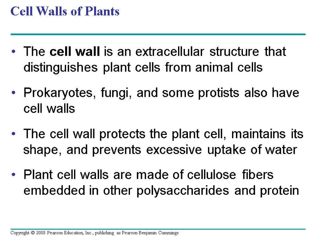 Cell Walls of Plants The cell wall is an extracellular structure that distinguishes plant